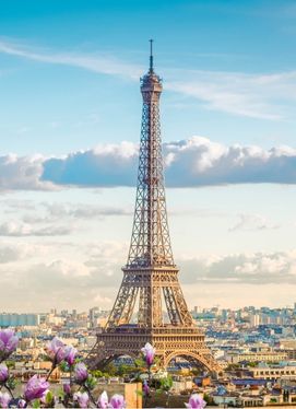 Paris local eateries